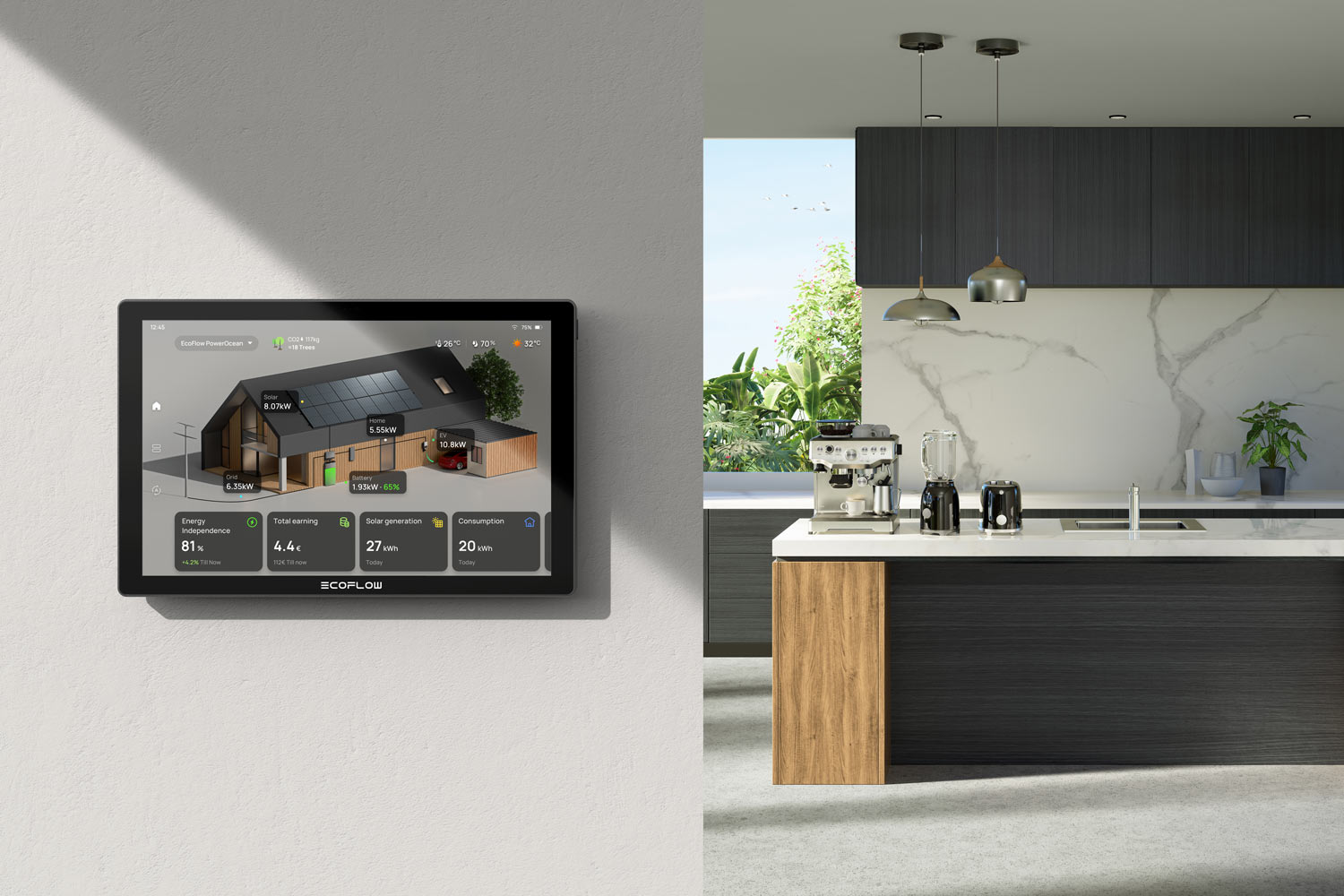 EcoFlow Digital monitor